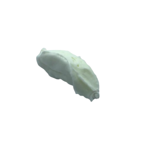 CBD Handcreme kaufen